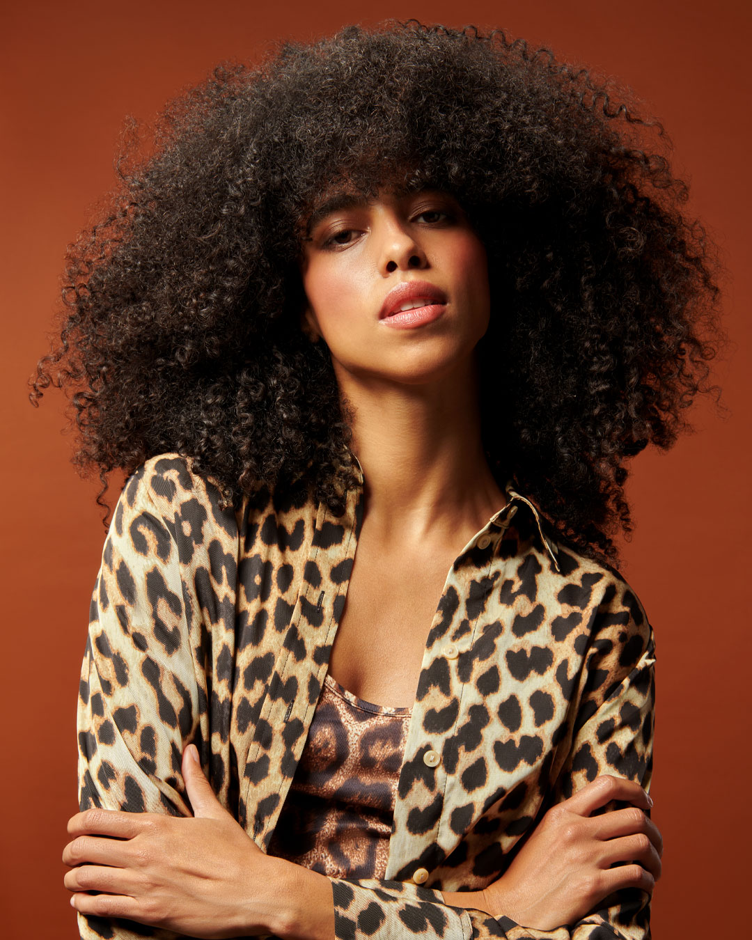 Kolekce trendy účesů 2026 od Salerm Cosmetics