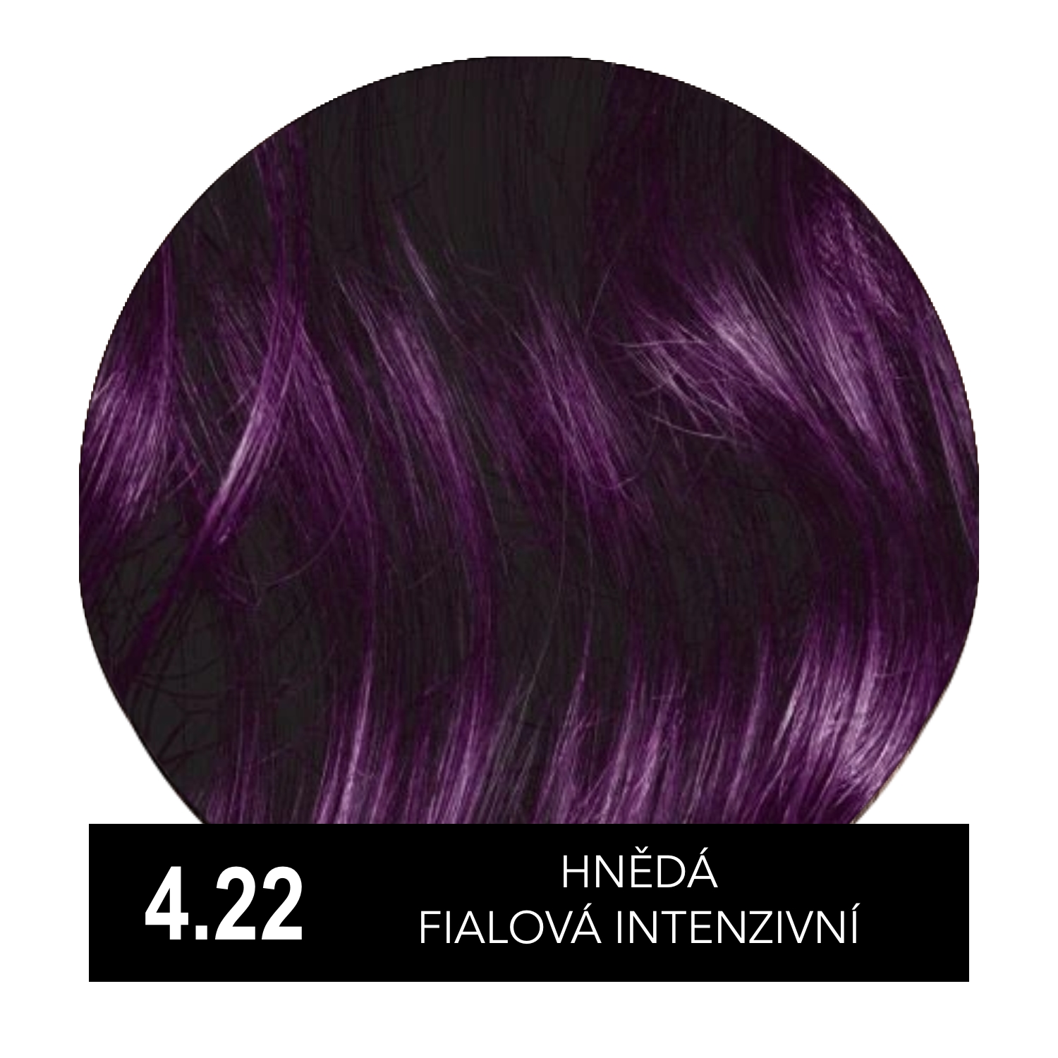 Hely Color permanentní barva na vlasy - hnědá fialová intenzivní (4.22/4VV) 60 ml
