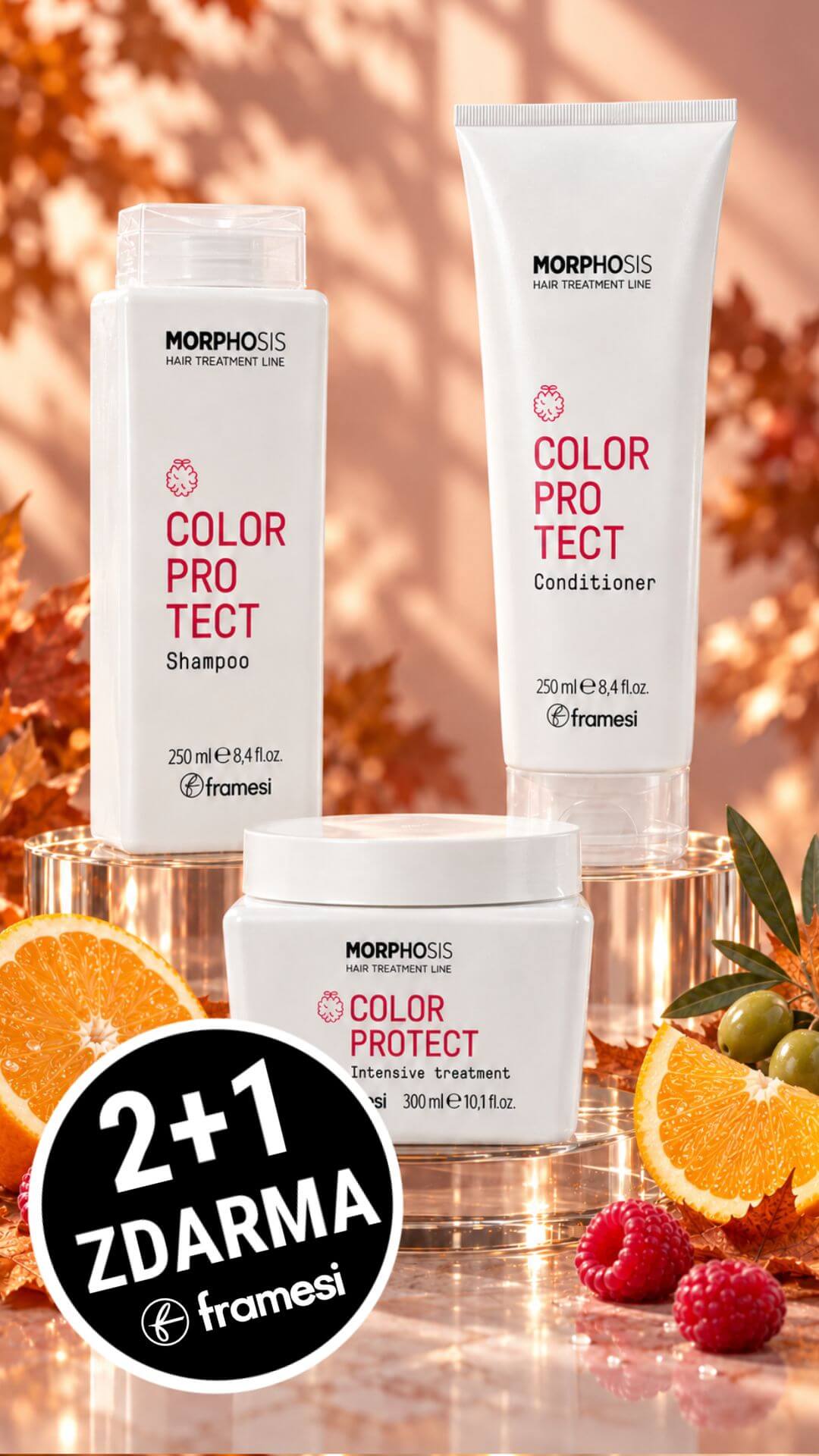 Framesi COLOR PROTECT kosmetická sada pro barvené vlasy