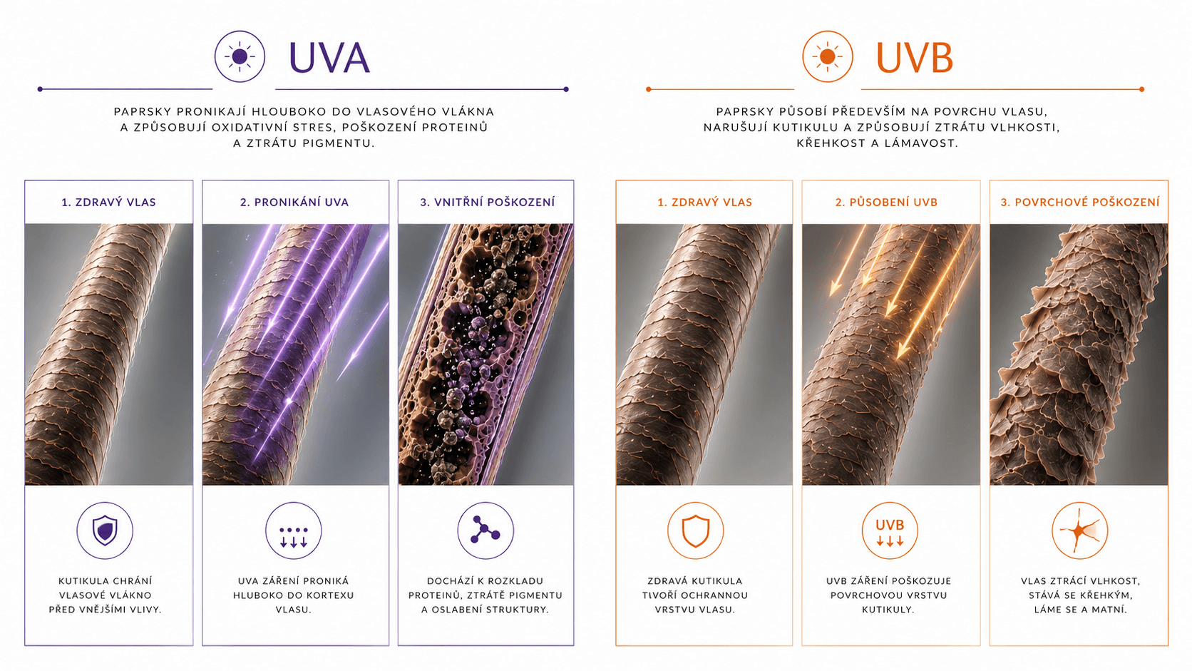 UV záření a fotopoškození vlasů