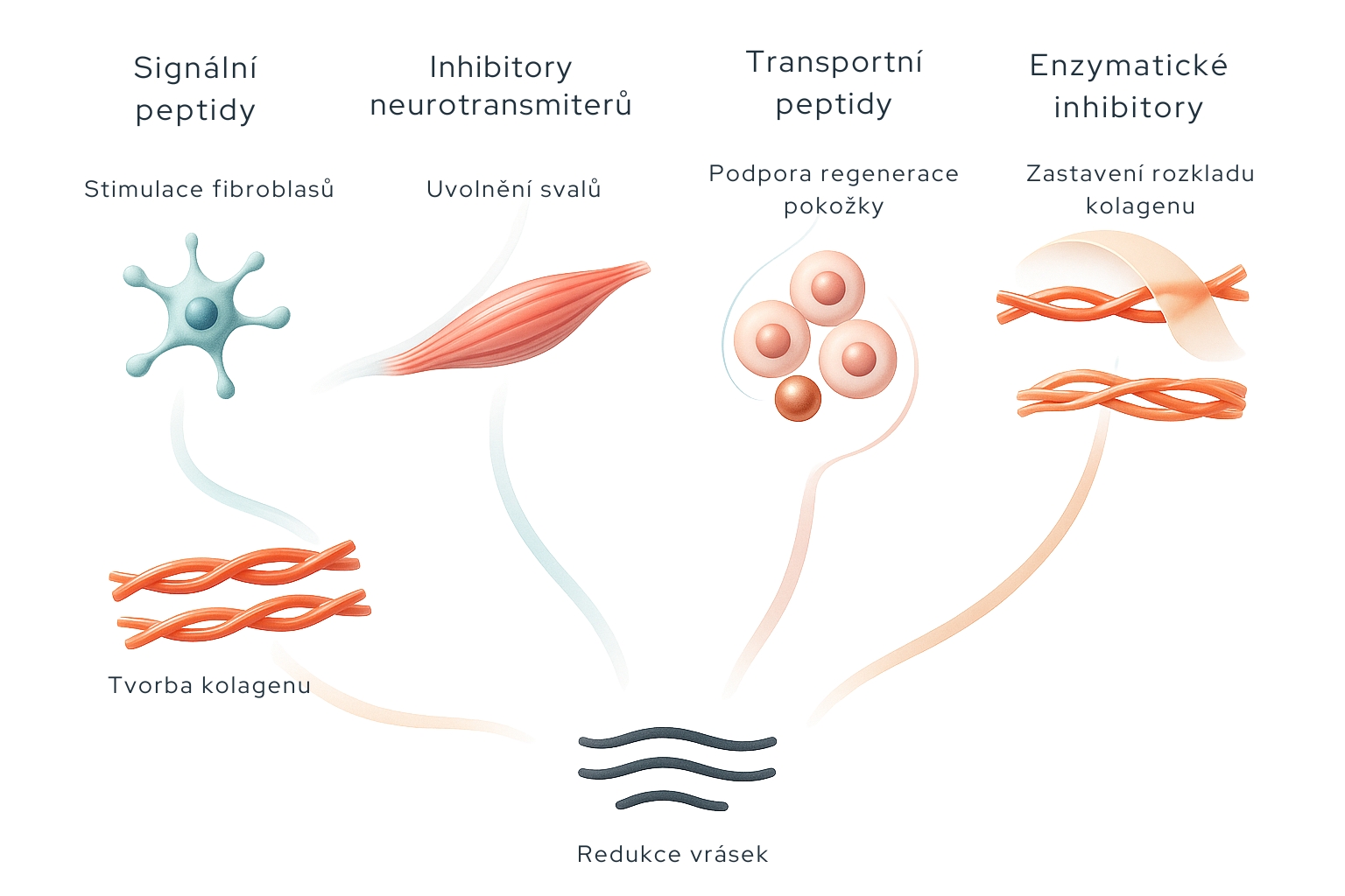 Klasifikace peptidů