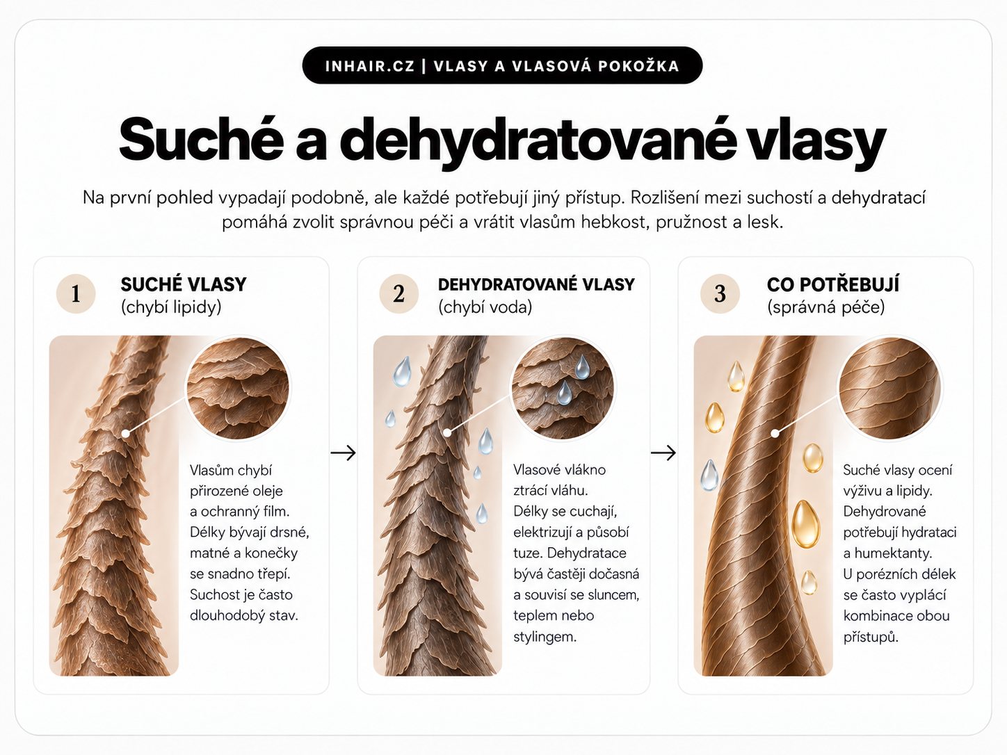 Suché a dehydratované vlasy – rozdíl mezi nedostatkem lipidů a vody