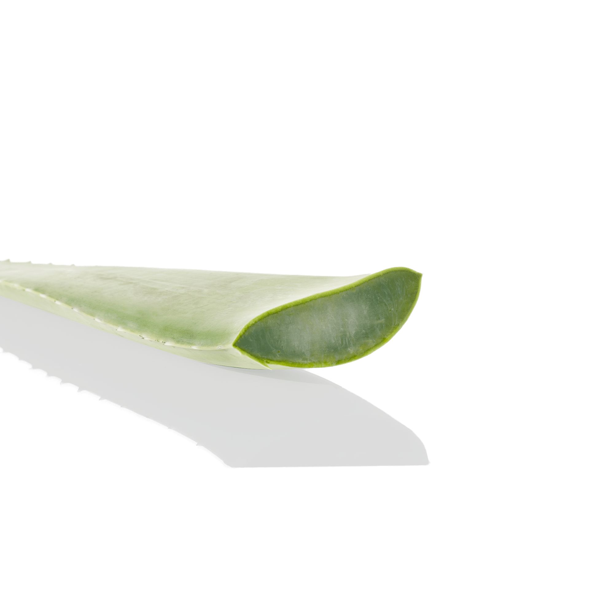 Byphasse Aloe vera depilační krém s aloe vera 125 ml