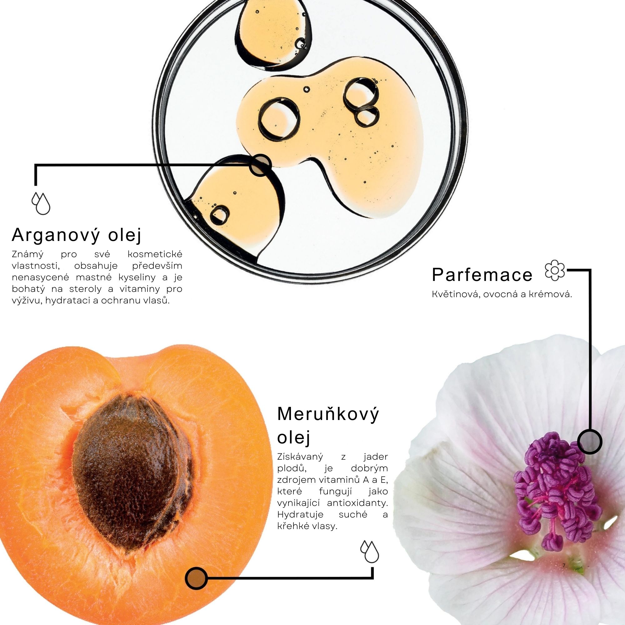 Framesi SUBLIMIS OIL Pure olej na vlasy 100 ml