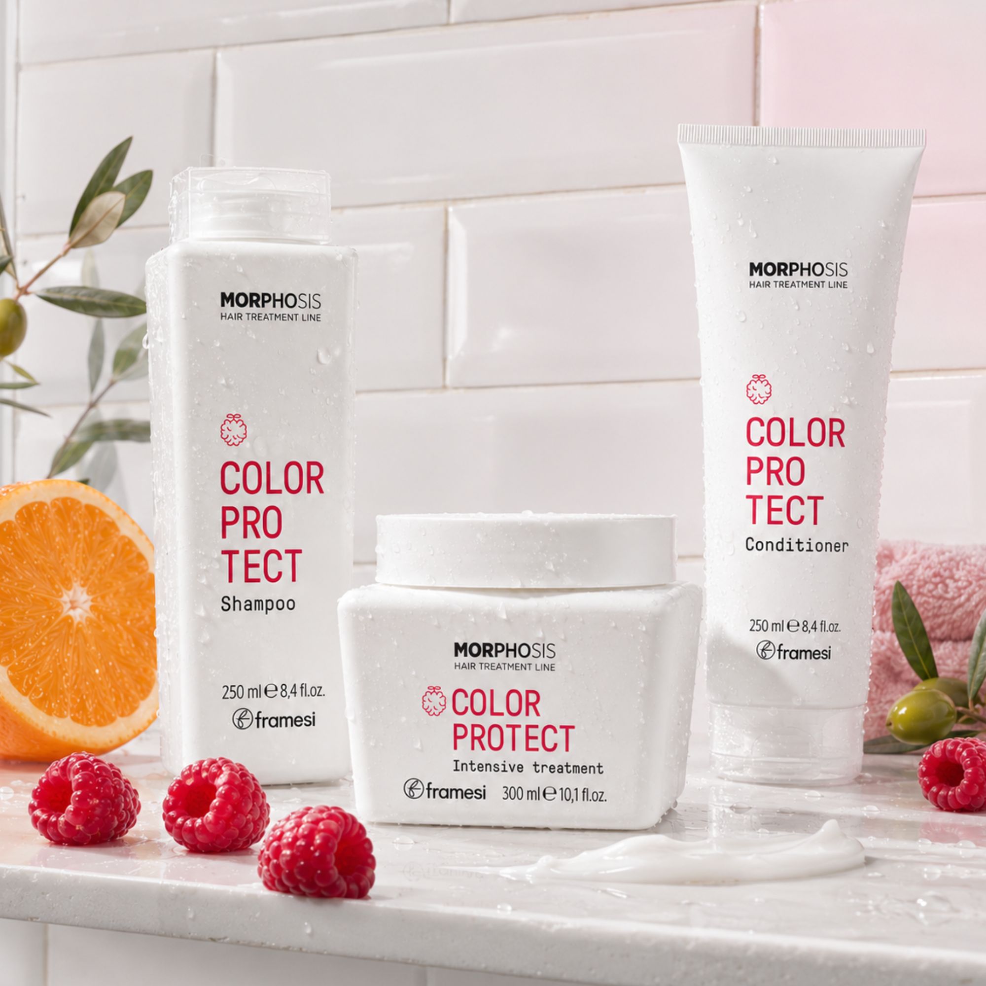 Framesi COLOR PROTECT kosmetická sada pro barvené vlasy