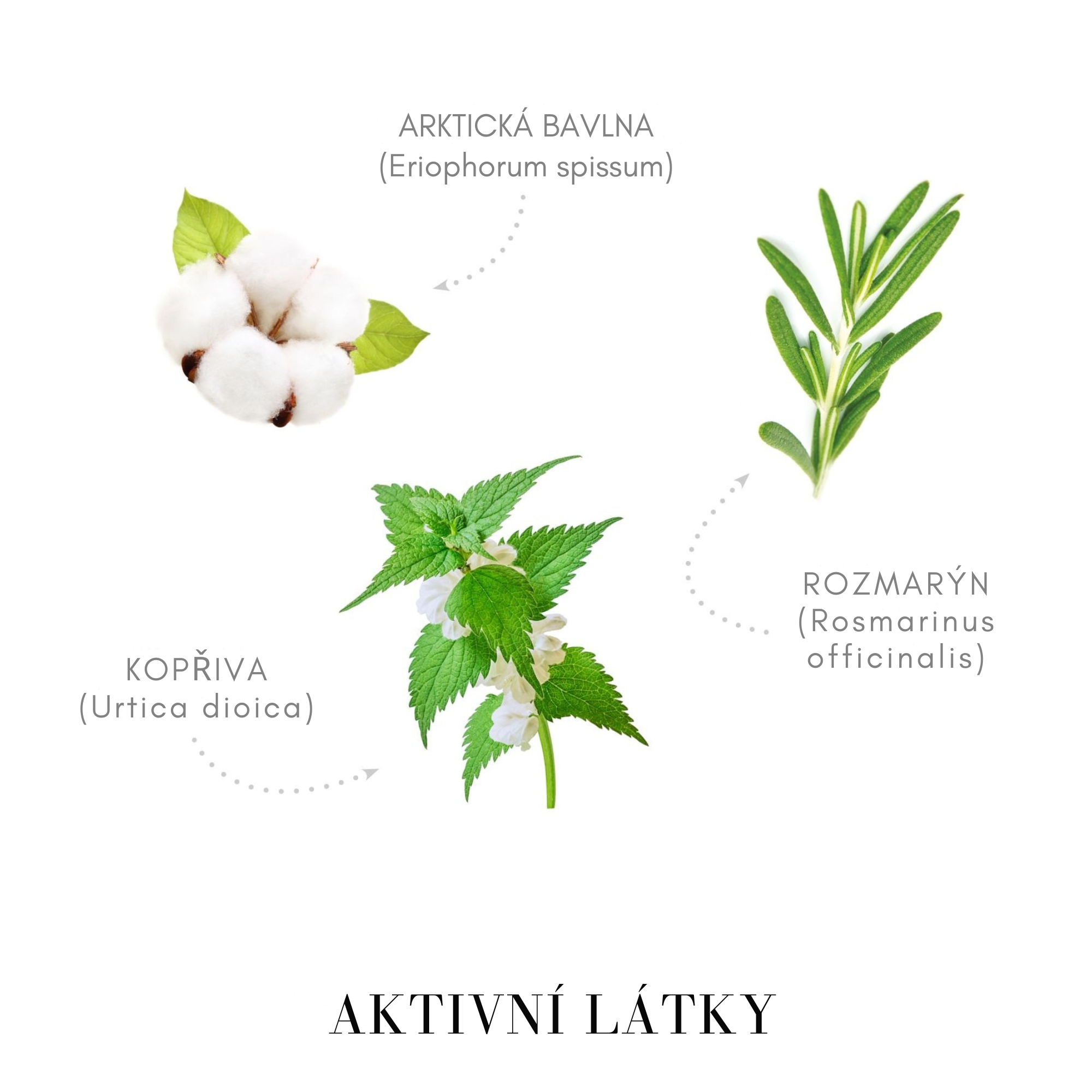 MedaVita Hairchitecture šampón pro objem vlasů 250 ml