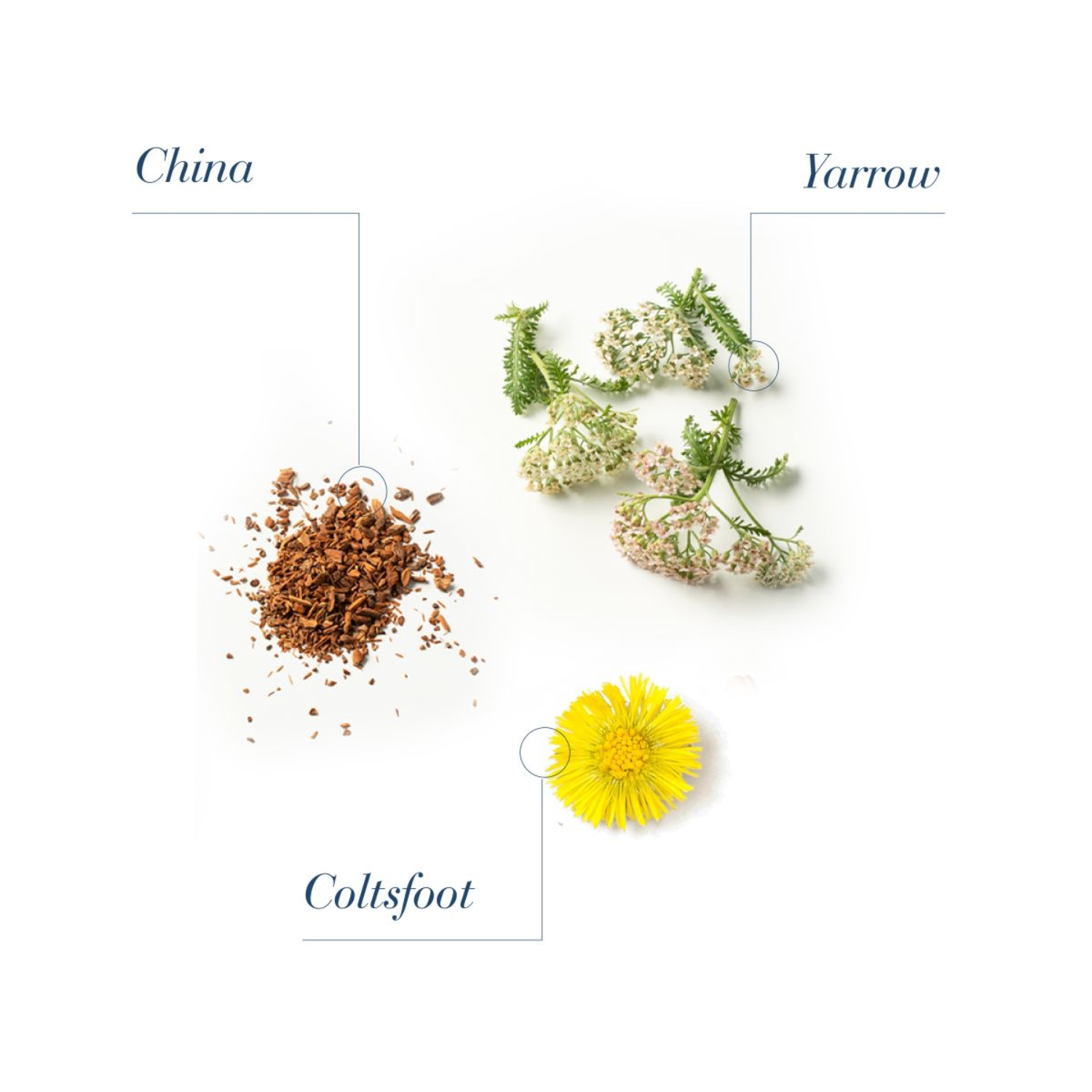 MedaVita Lotion Concentree Homme šampón proti vypadání pro muže 250 ml