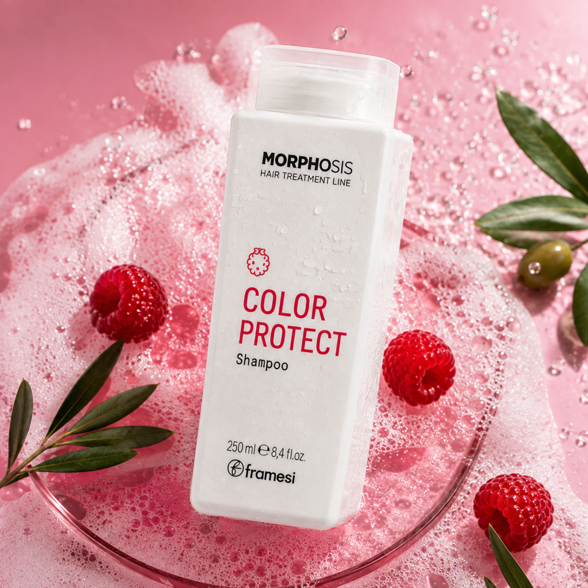 Framesi COLOR PROTECT kosmetická sada pro barvené vlasy