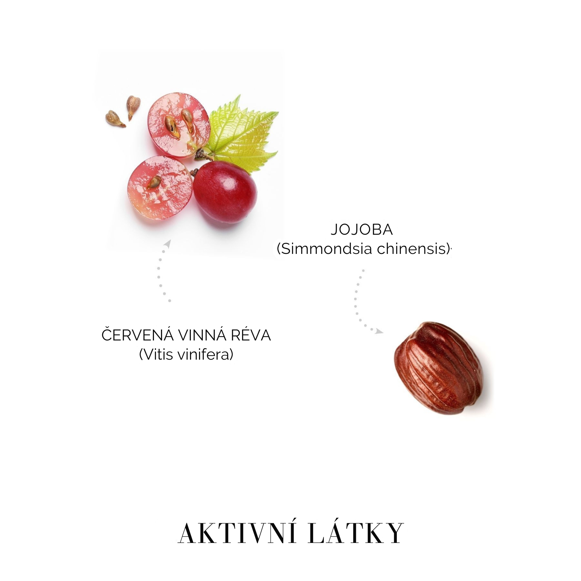 MedaVita Curladdict maska pro elastičnost vlasů pH 3,5 500 ml