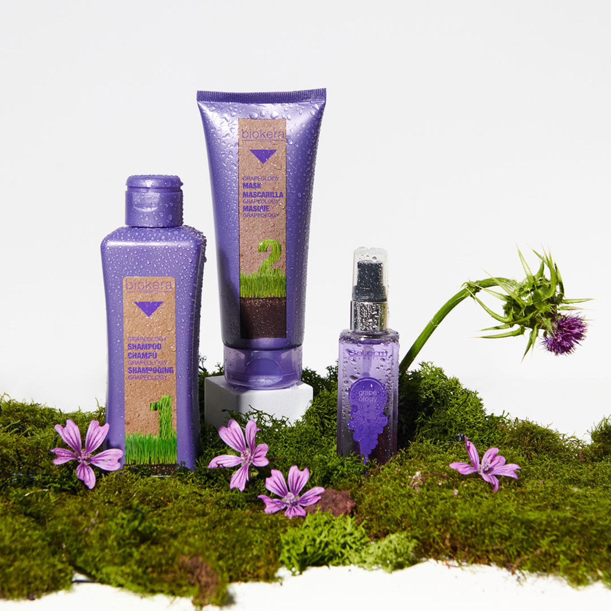 Salerm Biokera Grapeology kosmetická sada pro detox vlasů