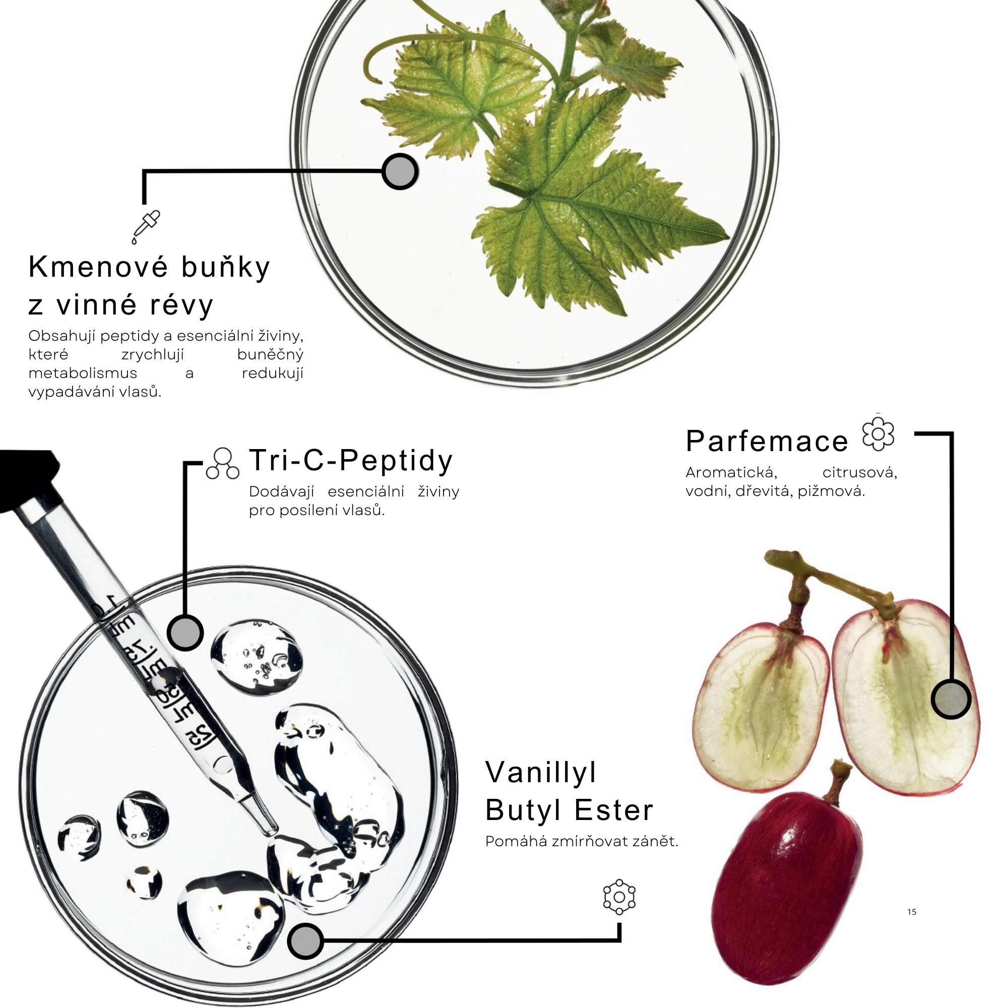 Framesi REINFORCING energizující ampule pro podporu růstu vlasů 12 x 7 ml