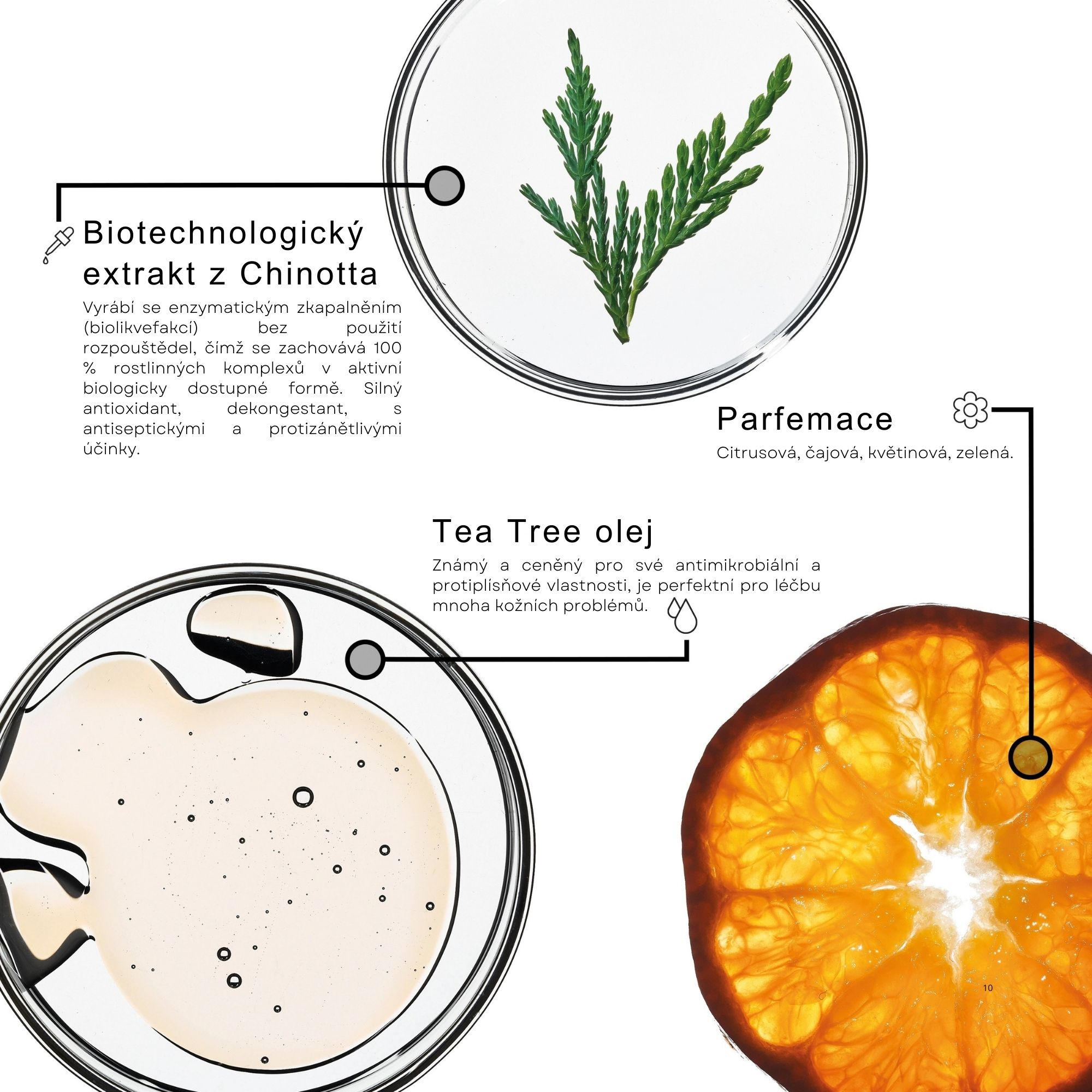 Framesi PURIFYING šampon proti lupům 250 ml
