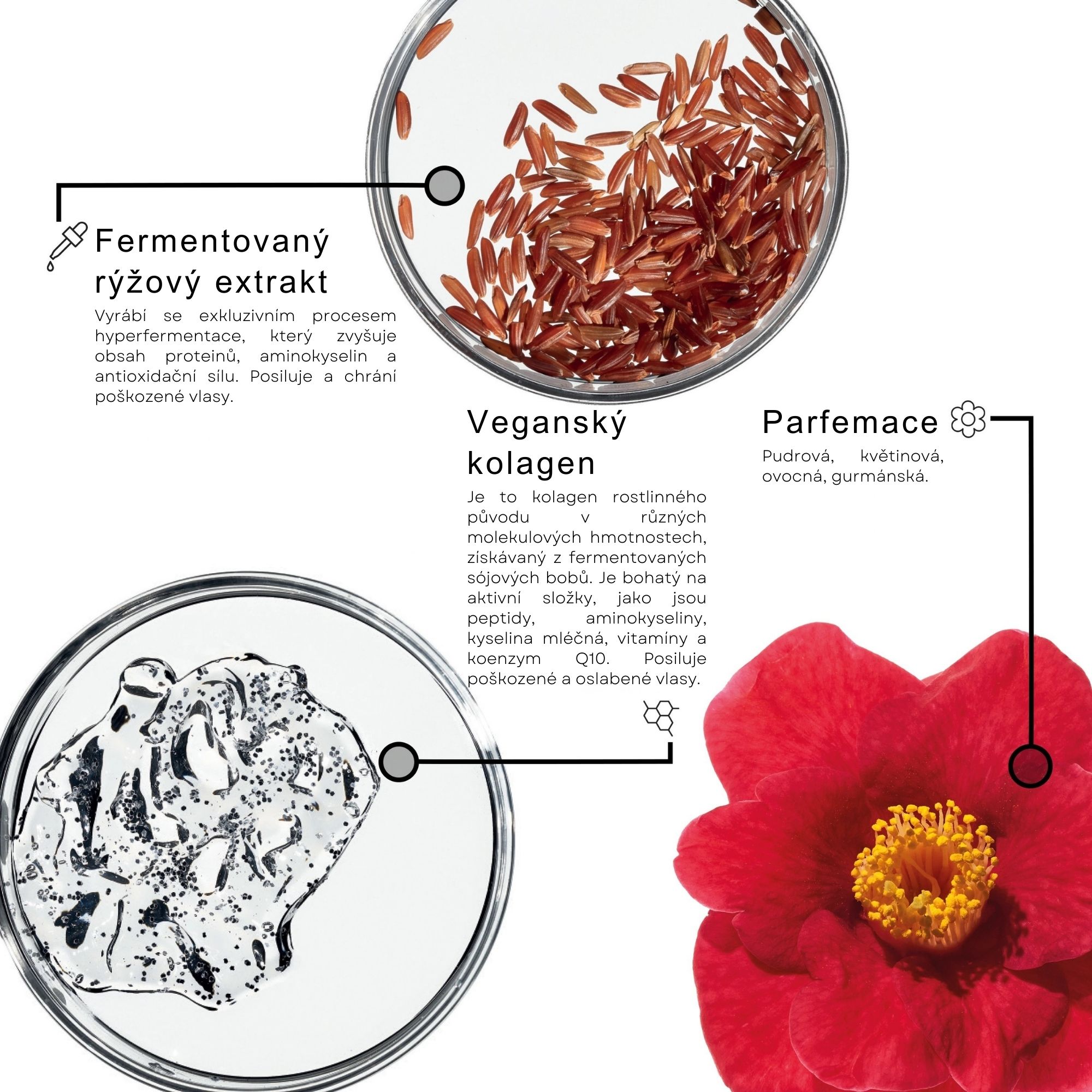 Framesi RESTRUCTURE elixír krásy na vlasy 150 ml