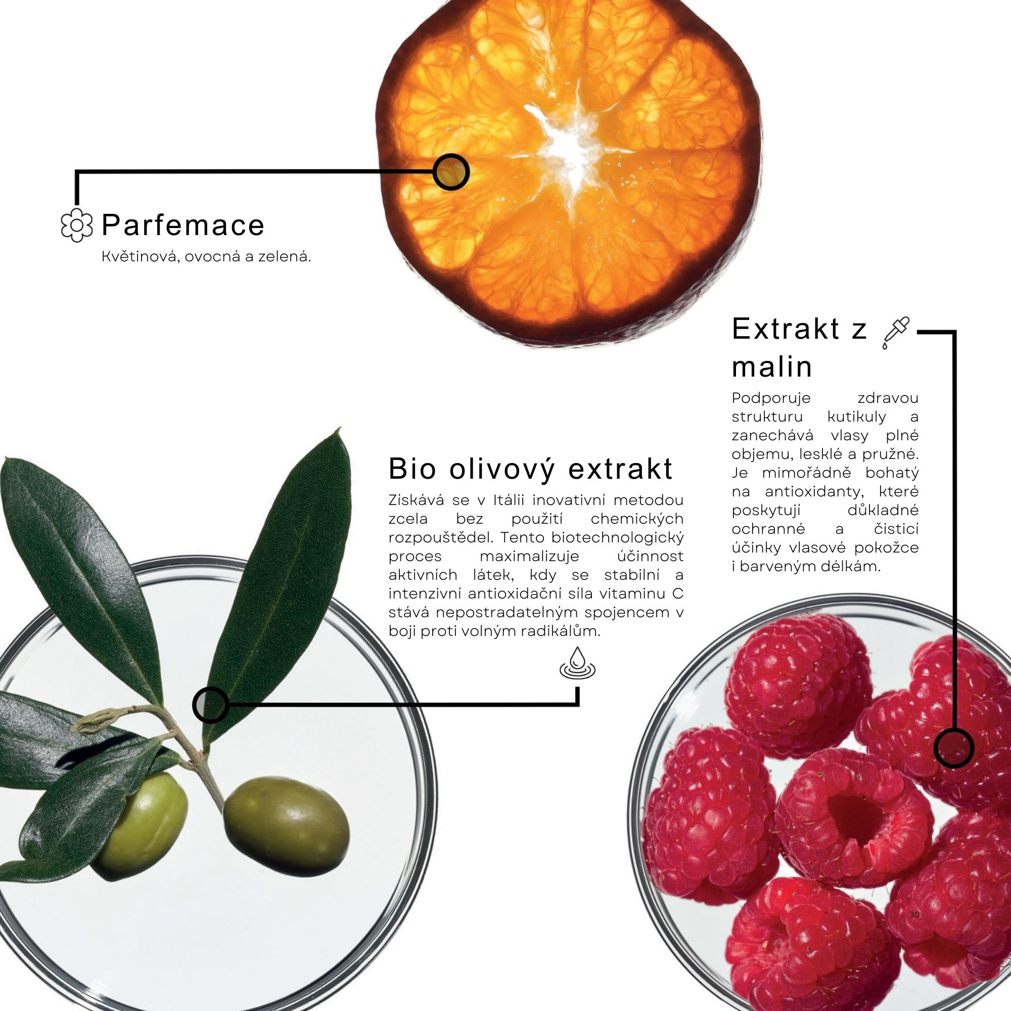 Framesi COLOR PROTECT šampon pro barvené vlasy 1000 ml