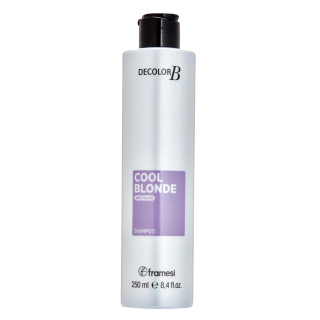 Framesi Decolor B COOL BLONDE šampon pro ledovou blond 250 ml