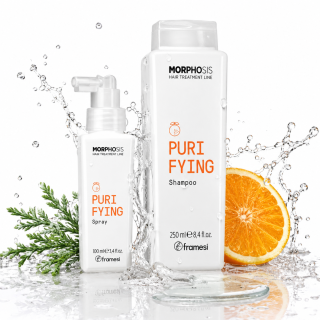 Framesi PURIFYING kosmetická sada proti lupům
